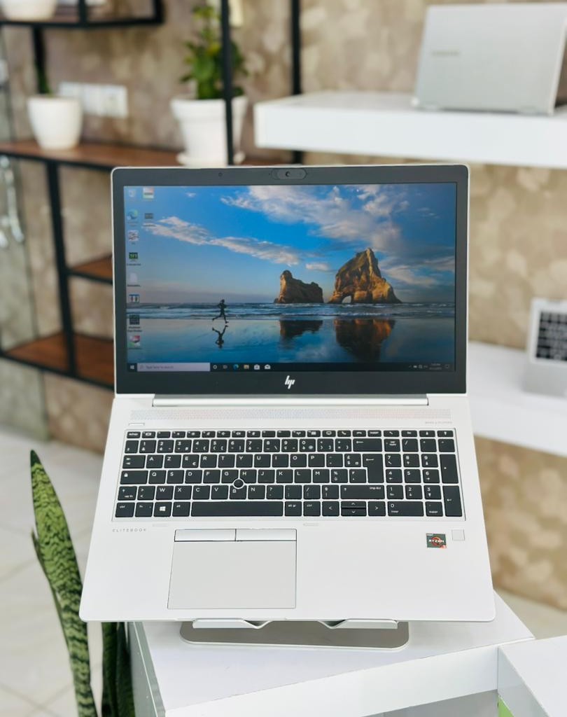 لپ تاپ EliteBook 755 G5
